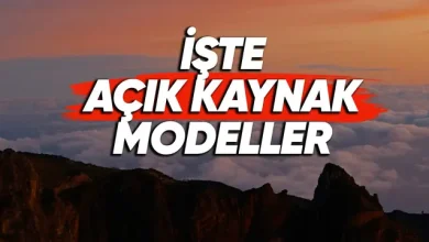 OpenAI, İlk Açık Kaynak Yapay Zekâ Modellerini Yayımladı