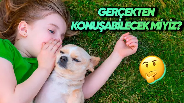 Yakında Hayvanlarla Konuşmamız Mümkün mü? 1 Yakında Hayvanlarla Konuşmamız Mümkün mü?