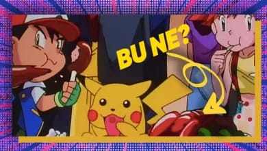 Pokemon Evreninde Normal Hayvanlar da Var mıydı?