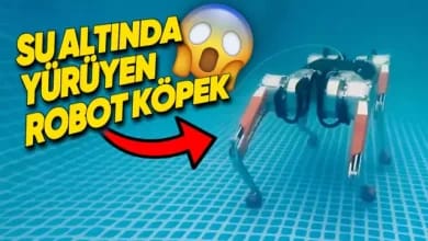 Su Altında Yürüyebilen Robot Köpek [Video]