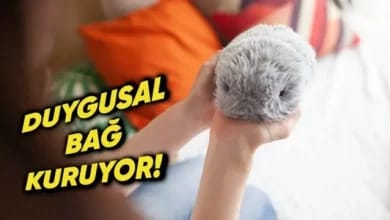 Casio, Yeni Nesil Robotik Evcil Hayvanı Moflin’i Tanıttı 10 Casio, Yeni Nesil Robotik Evcil Hayvanı Moflin’i Tanıttı