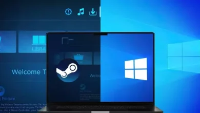 SteamOS ve Windows'un Oyun Performansı Karşılaştırıldı
