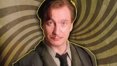 Harry Potter Serisindeki Remus Lupin Hakkındaki Bilgiler