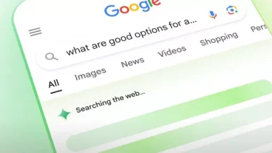 Google Arama'nın Yapay Zekâsı, Hatalı Neticelerle Dolu 1 Google Arama'nın Yapay Zekâsı, Hatalı Sonuçlarla Dolu