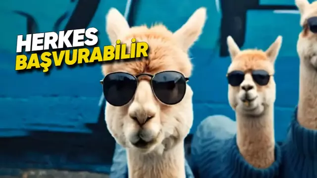 Google'ın Video Üretme Modeli Veo, Kullanıcılara Açılıyor 1 Google'ın Video Üretme Modeli Veo, Kullanıcılara Açılıyor