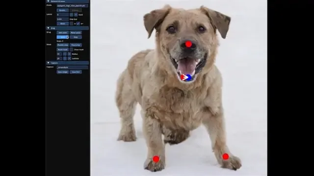 DragGAN ile Üretilmiş 7 İçerik (Siz de Yapabilirsiniz) 1 DragGAN ile Üretilmiş 7 İçerik (Siz de Yapabilirsiniz)