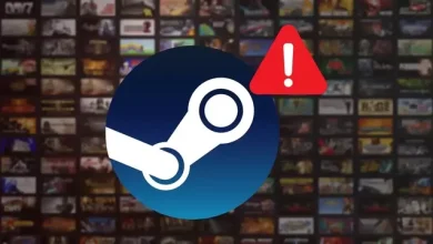89 Milyondan Fazla Steam Kullanıcı Verisi Sızdırıldı