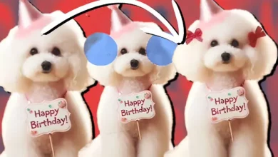 Artık ChatGPT Üstünde Görsel Düzenlenebiliyor 8 Artık ChatGPT Üzerinde Görsel Düzenlenebiliyor