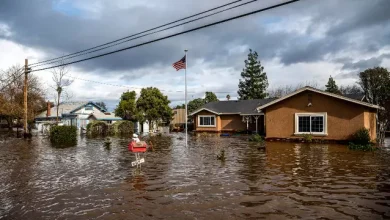 Google, Yapay Zekâ ile Selleri 7 Gün Önceden Tahmin Etti