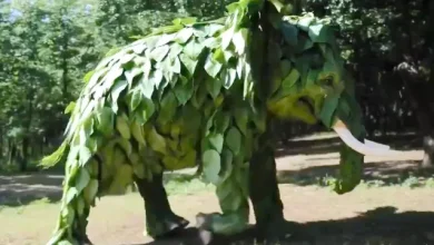 OpenAI, Sora ile Üretilmiş Yeni Videolar Paylaştı