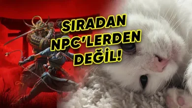Assassin's Creed Shadows'un Kedisi Bakaneko Aslına bakarsak Gerçek 2 Assassin's Creed Shadows'un Kedisi Bakaneko Aslında Gerçek