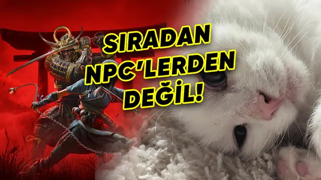 Assassin's Creed Shadows'un Kedisi Bakaneko Aslında Gerçek