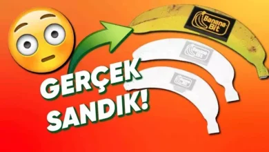 Dünyanın İlk Muz Şekilli El Tipi Oyun Konsolu Tanıtıldı