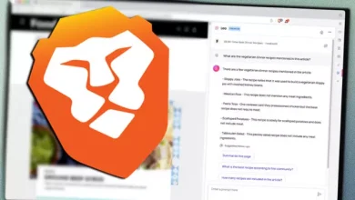 Brave, Yapay Zekâ Modeli Leo'yu Kullanıma Sundu 10 Brave, Yapay Zekâ Modeli Leo'yu Kullanıma Sundu
