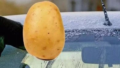 Mutfağınızda Yiyecek Yaptığınız Malzemelerle Otomobilinizin Ön Camındaki Buzlanmayı Saniyeler İçerisinde Çözdürebilirsiniz! 16 Mutfağınızda Yemek Yaptığınız Malzemelerle Arabanızın Ön Camındaki Buzlanmayı Saniyeler İçerisinde Çözdürebilirsiniz!