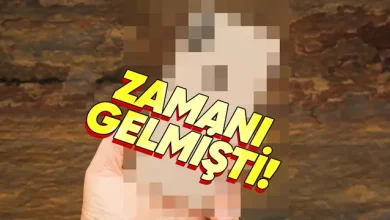 Apple Bir iPhone Modelini Daha "Külüstür" İlan Etti 14 Apple Bir iPhone Modelini Daha "Külüstür" İlan Etti