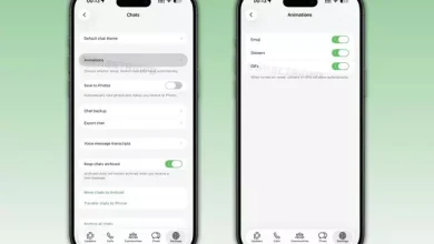 WhatsApp, GIF ve emoji animasyonlarından rahatsız olanlar için yeni özellik geliştiriyor