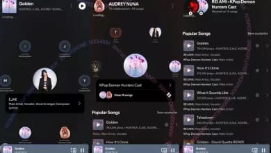 Spotify'a "SongDNA" geliyor: Şarkılarda emeği geçen her bir isim gösterilecek