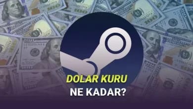 TL Desteğini Bırakalı 2 Yıl Olmuş: Steam'de Dolar Kuru Ne Kadar?