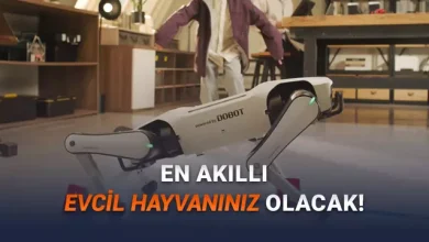 Dünyanın İlk Ev Tipi Robot Köpeği Duyuruldu: İşte iPhone'dan Bile Ucuz Fiyatı! 22 Dünyanın İlk Ev Tipi Robot Köpeği Duyuruldu: İşte iPhone'dan Bile Ucuz Fiyatı!