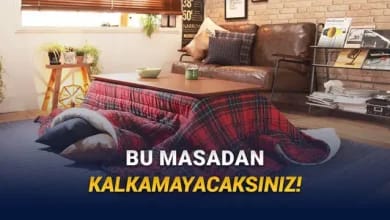 Japonların Kış Aylarında İçinden Çıkmak İstemediği O Çok büyük İcat: Kotatsu Nedir? 33 Japonların Kış Aylarında İçinden Çıkmak İstemediği O Muazzam İcat: Kotatsu Nedir?